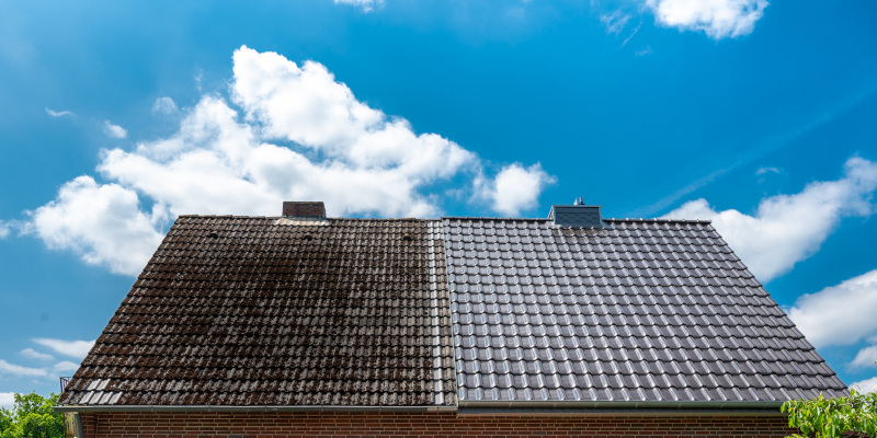 Roof Cleaning in Chapin, South Carolina